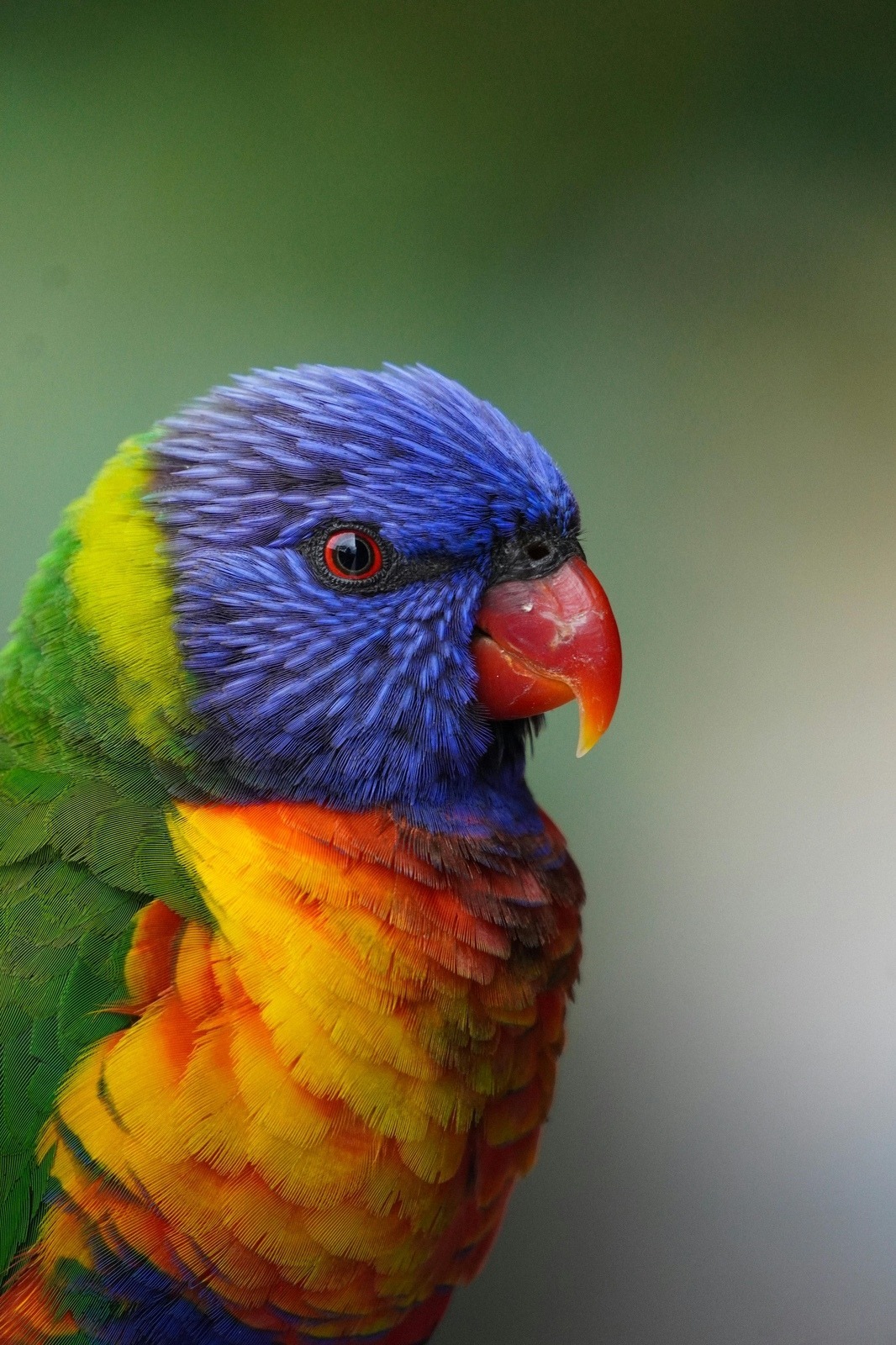 Zoomers: Rýchla stopa digitálneho sveta