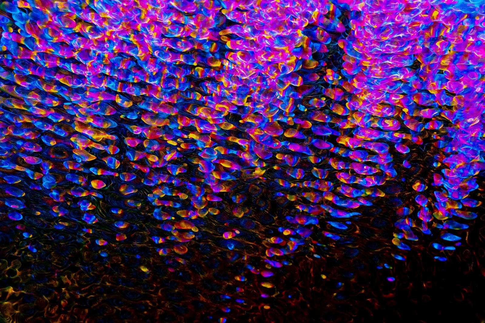 Školské siete a AUP