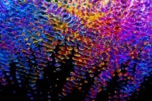 Cenzúra a bezpečnosť