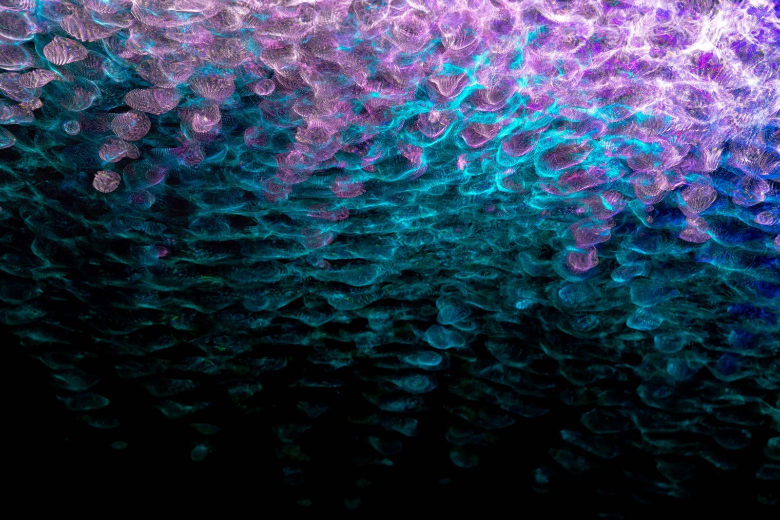 Zodpovedné odhaľovanie zraniteľností