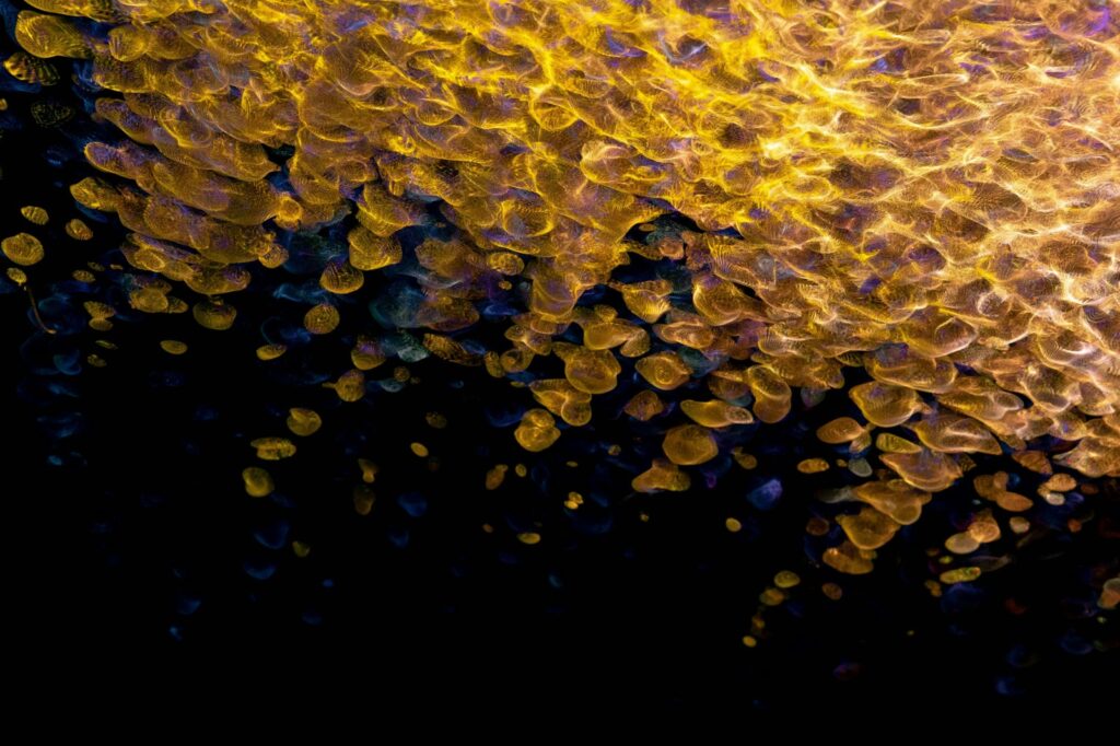 Postincidentná komunikácia