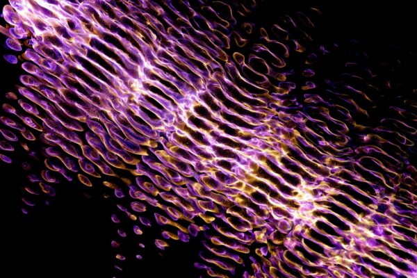 Deklaratívne, no neúčinné opatrenia súkromia