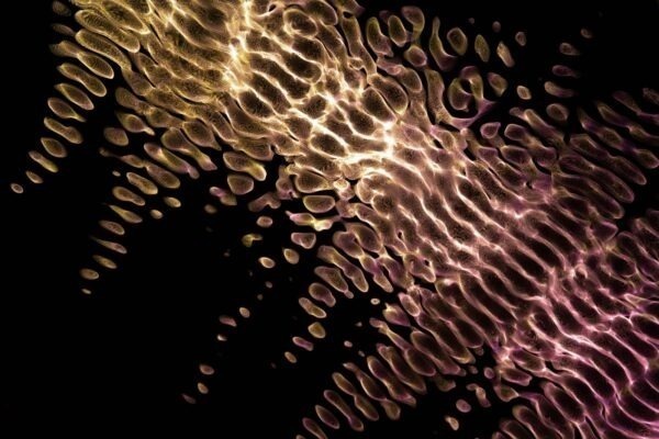 Praktické súkromie