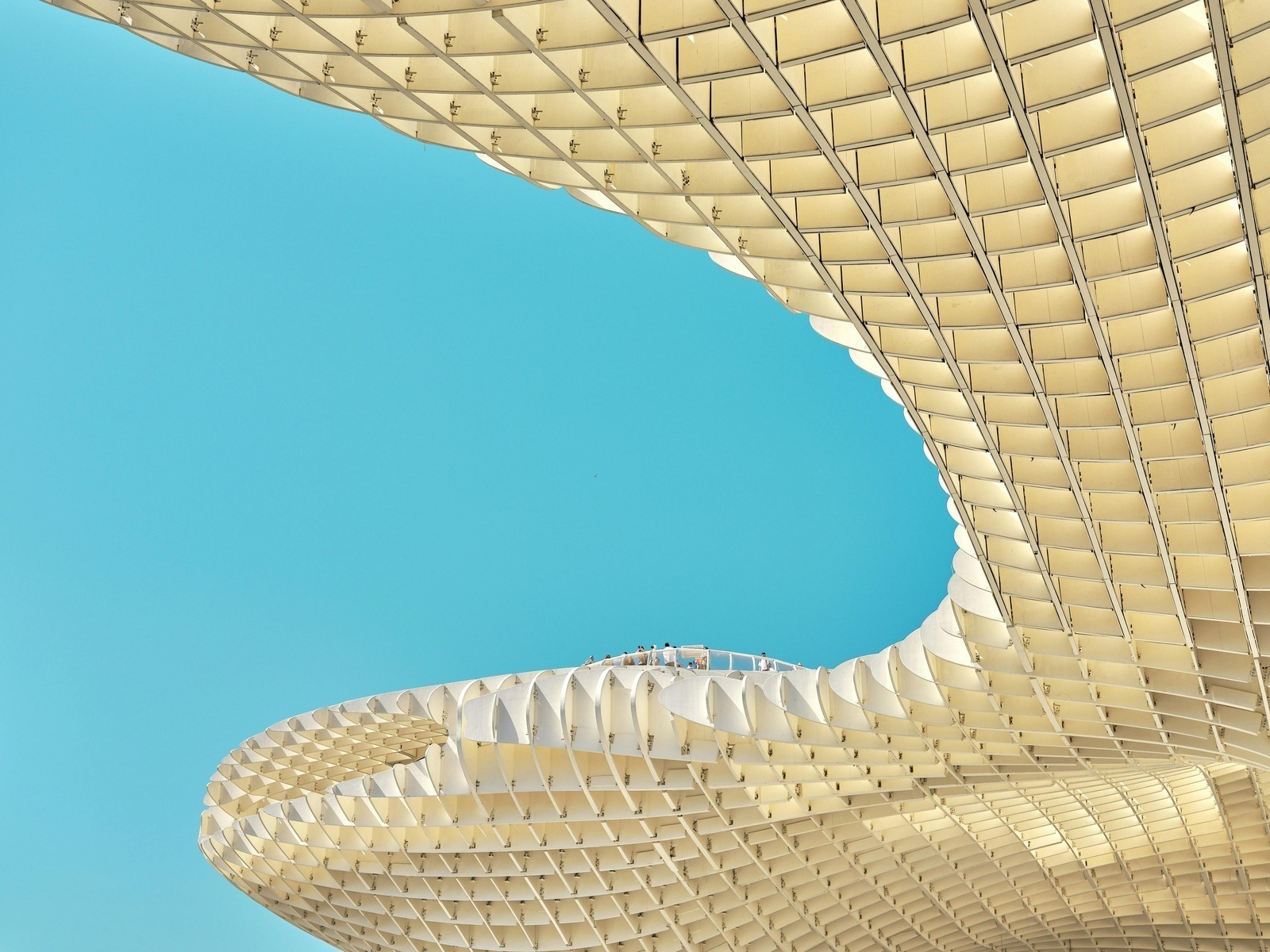 Selekčné skreslenie tipérov