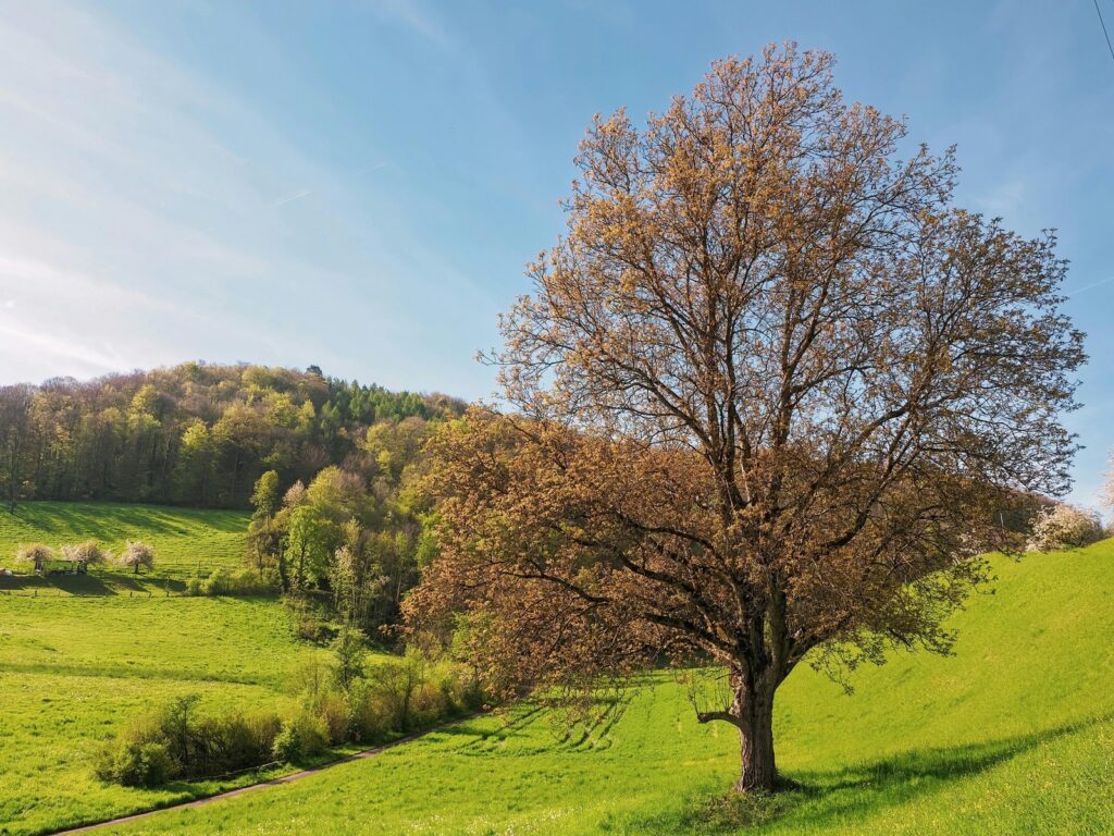 Kultúrna citlivosť a inkluzívnosť