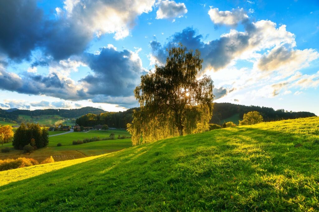 Antipirátske služby