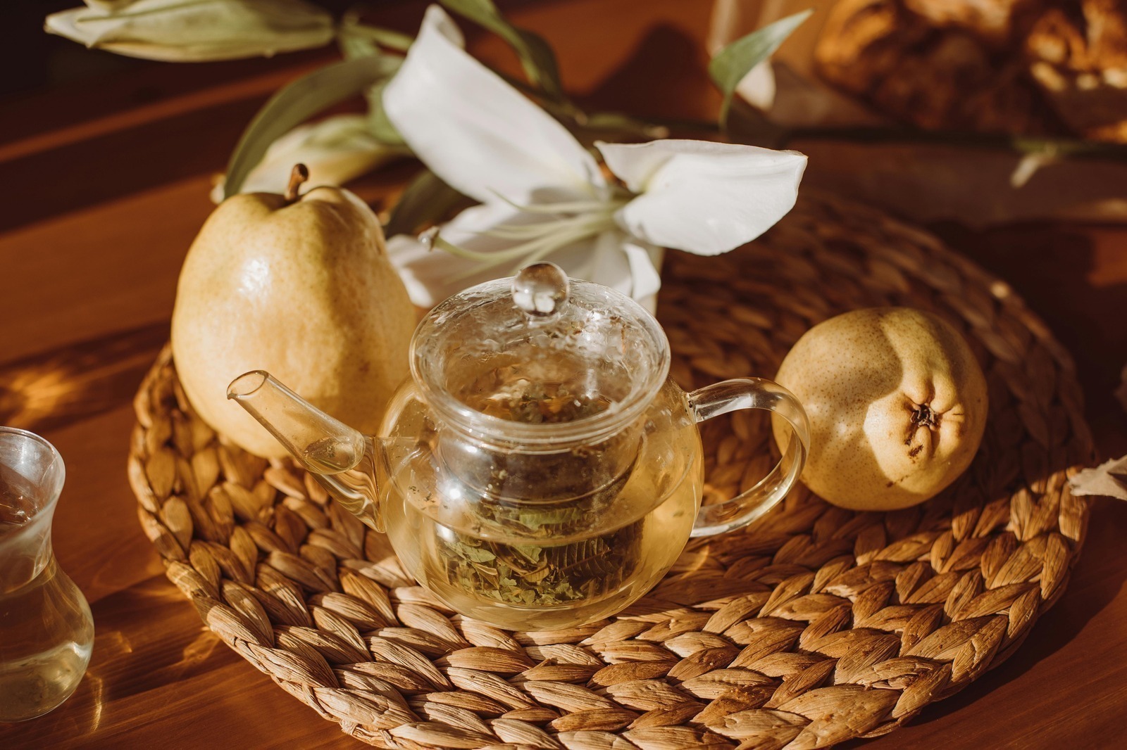 Startup/innovátor víza