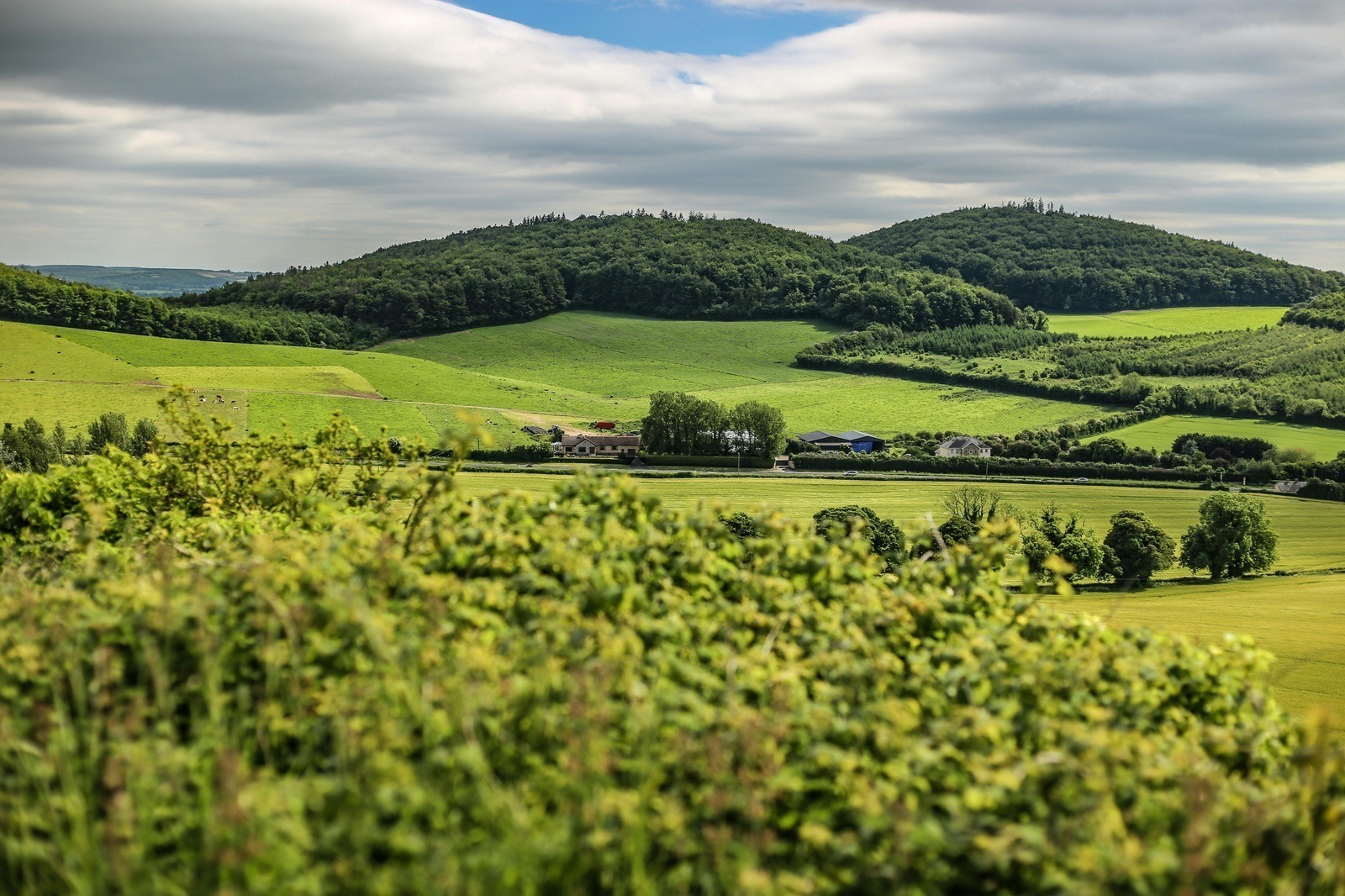 Rezervačné poplatky