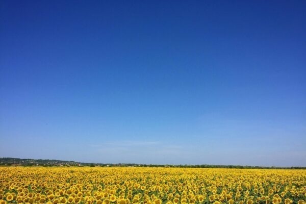 CapEx nehnuteľnosti