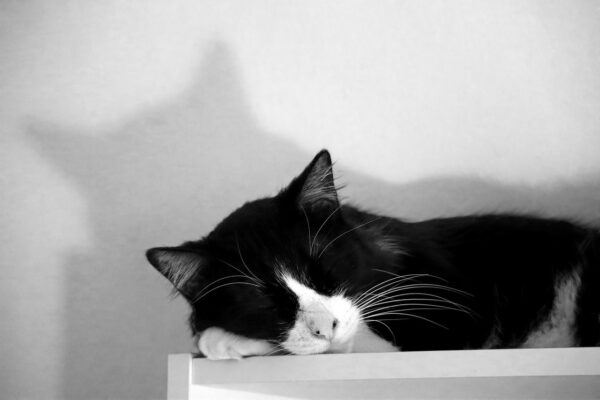 Edukácia tínedžerov