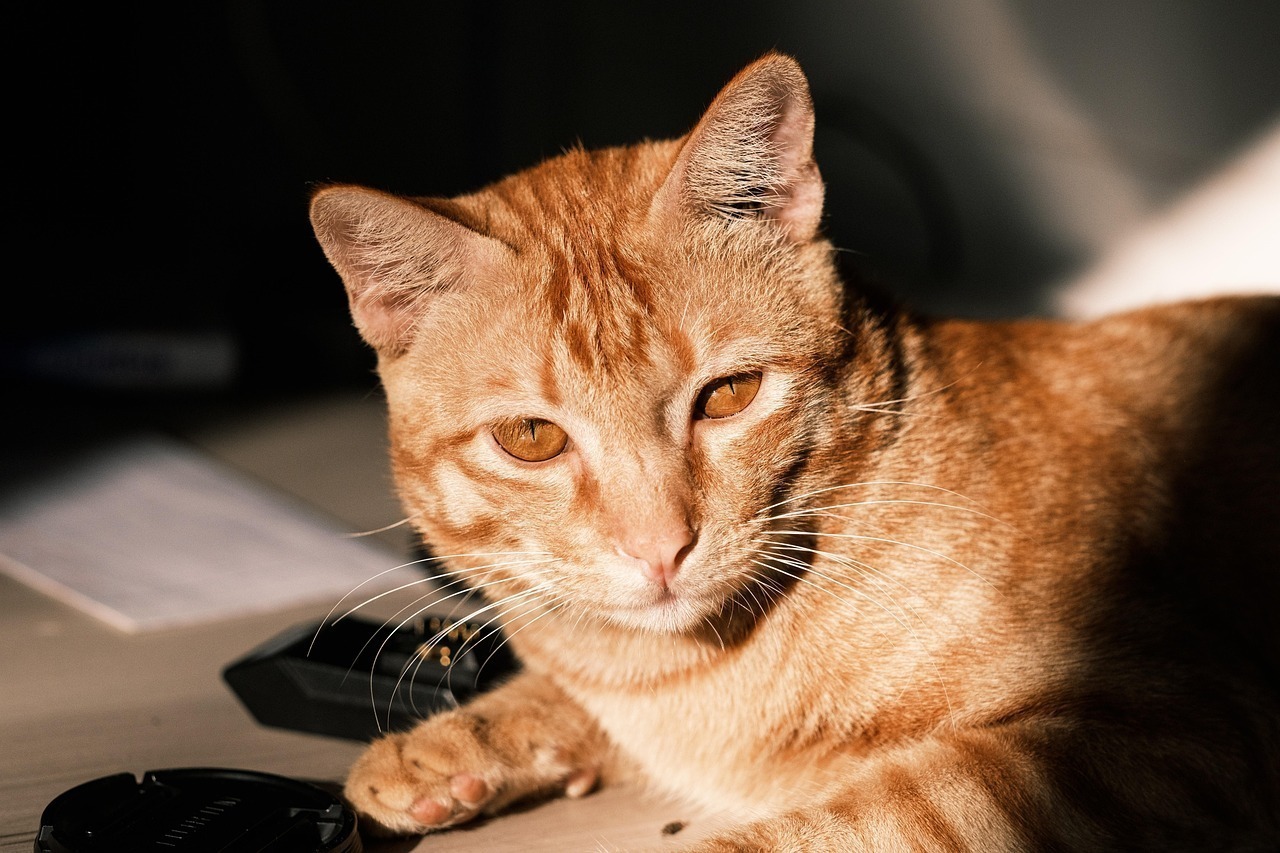 Checklist pred podpisom zmluvy