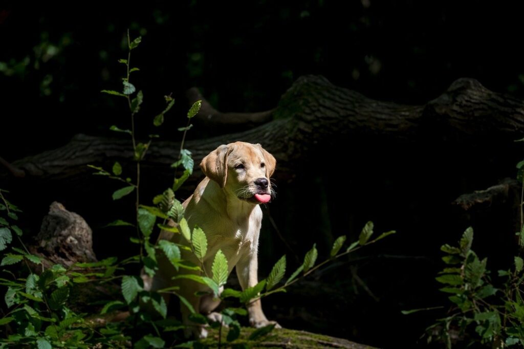 Mikroinvestície alternatívy