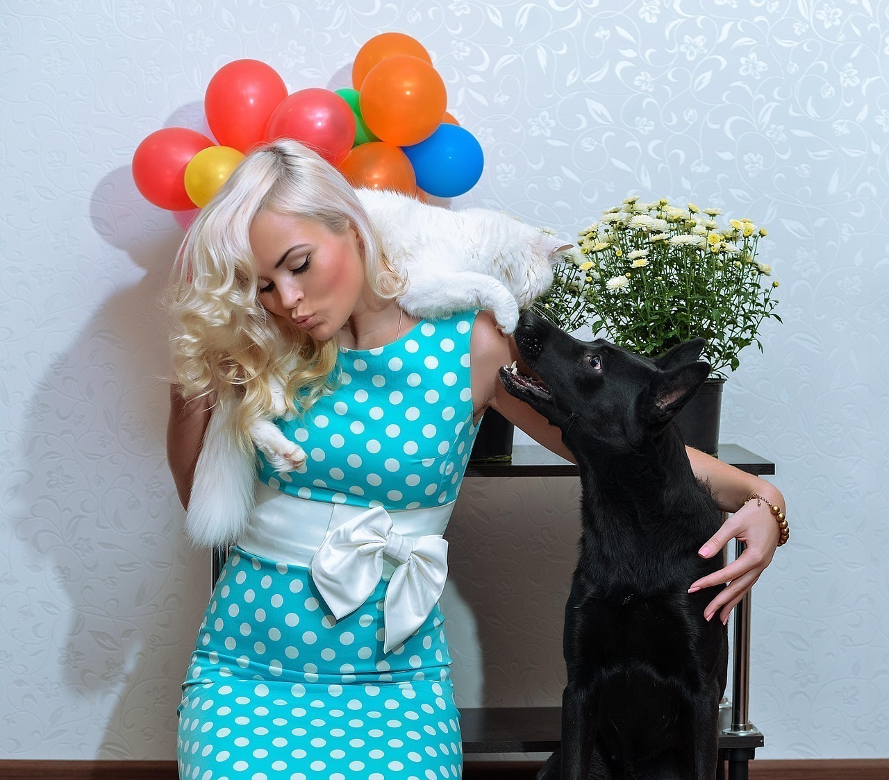 Prípadová štúdia konsolidácie