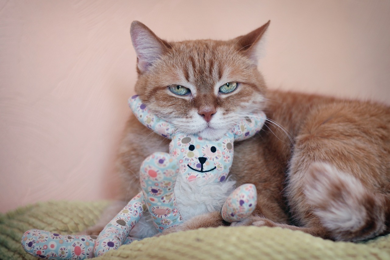 Dlhodobé vs. krátkodobé úvery