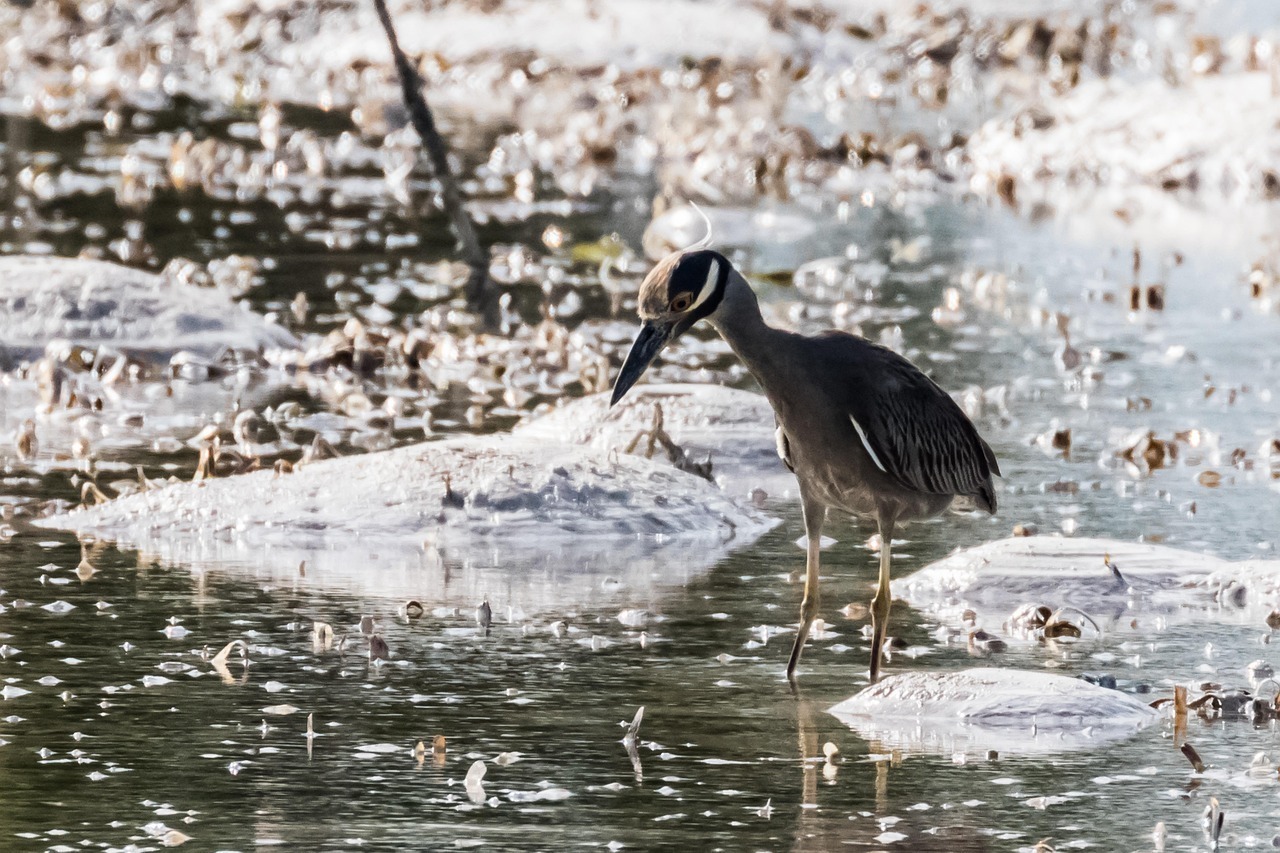 Zmena banky checklist