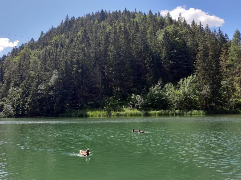 Reklamácia batožiny