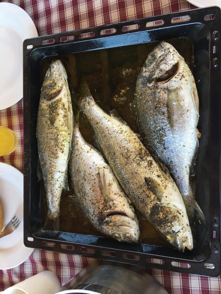 Kórea