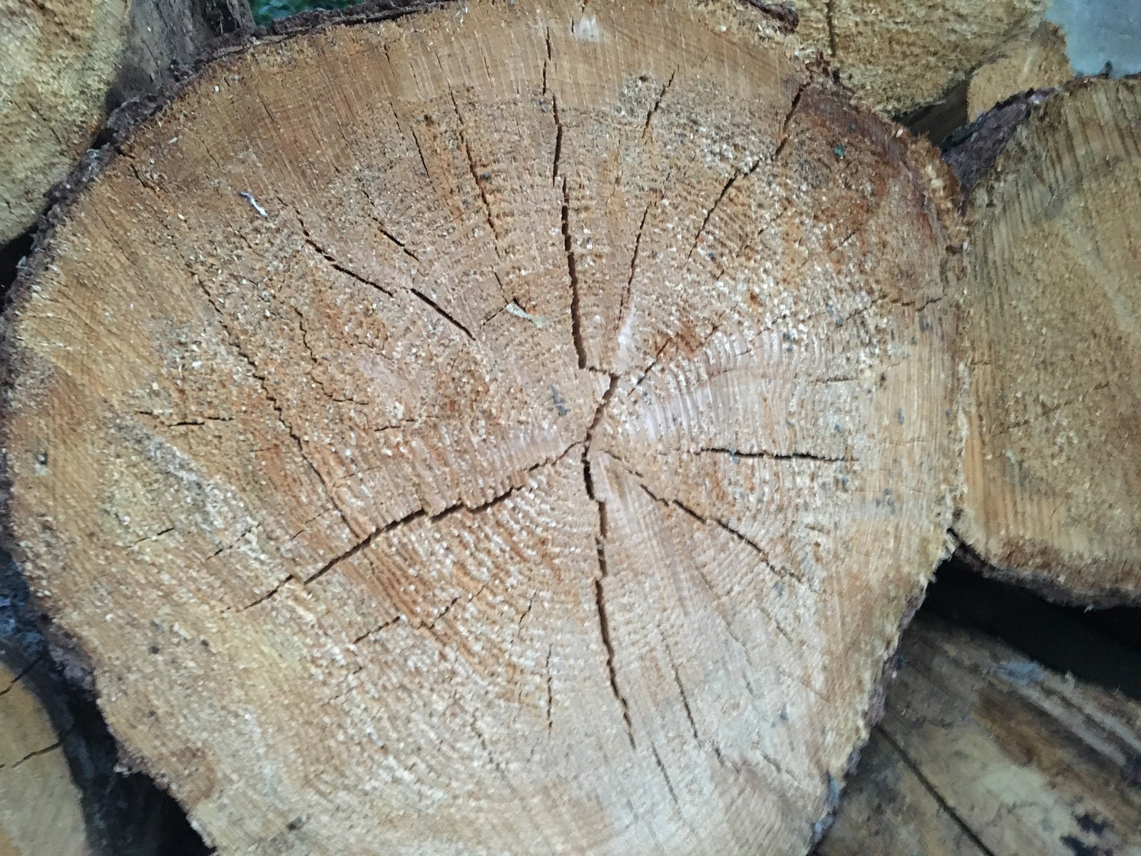 SWOT vs. Porter 5 síl