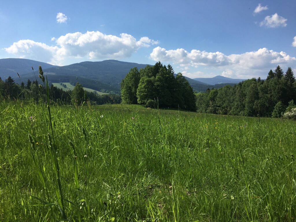 SWOT vo výskume a inováciách