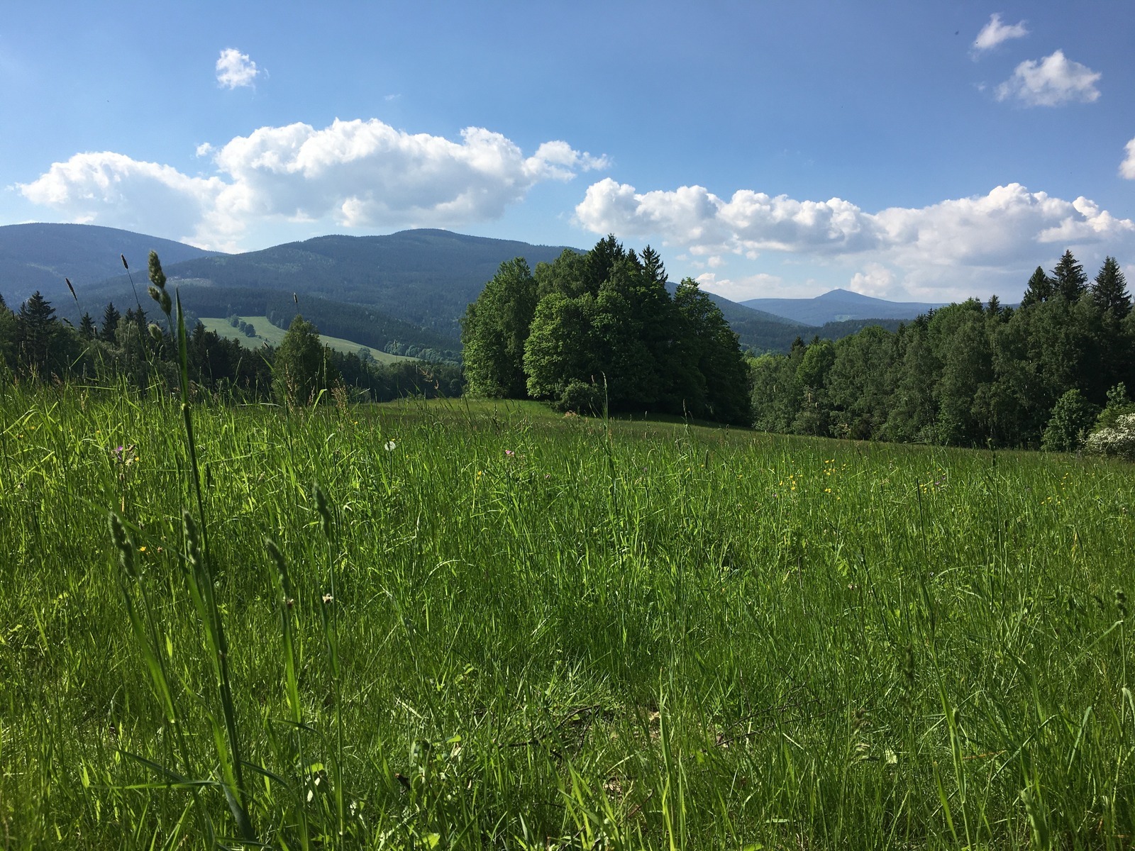 SWOT vo výskume a inováciách