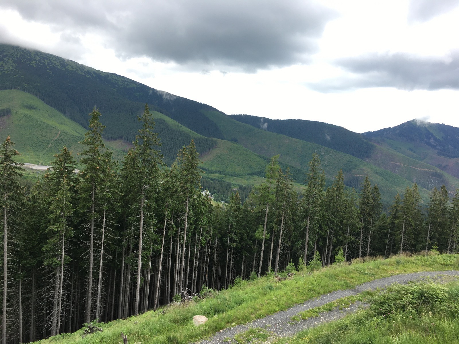 Precenené silné stránky (wishful)