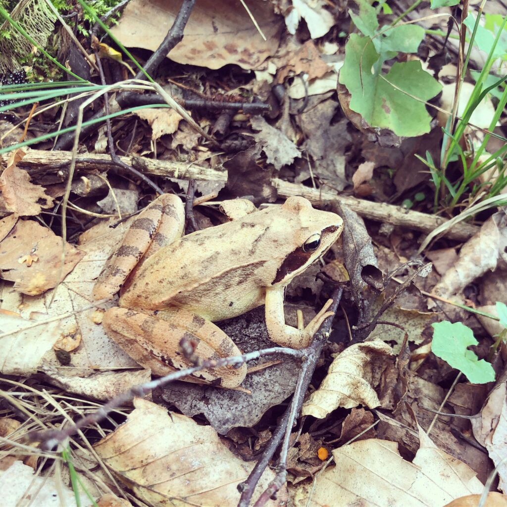 Cenníky a balíčky