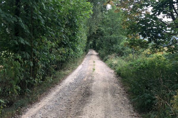 Marketing s malým rozpočtom