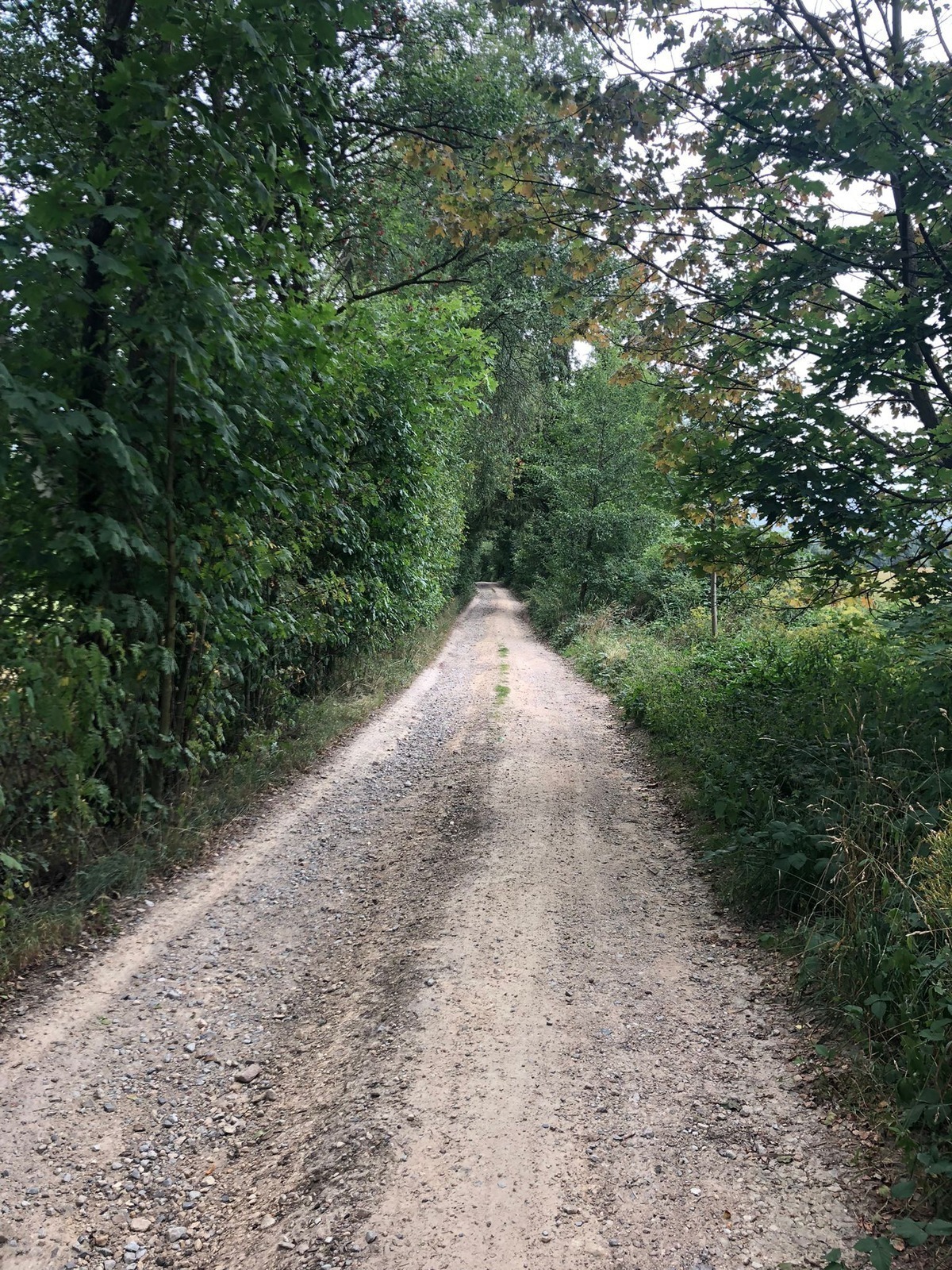 Marketing s malým rozpočtom