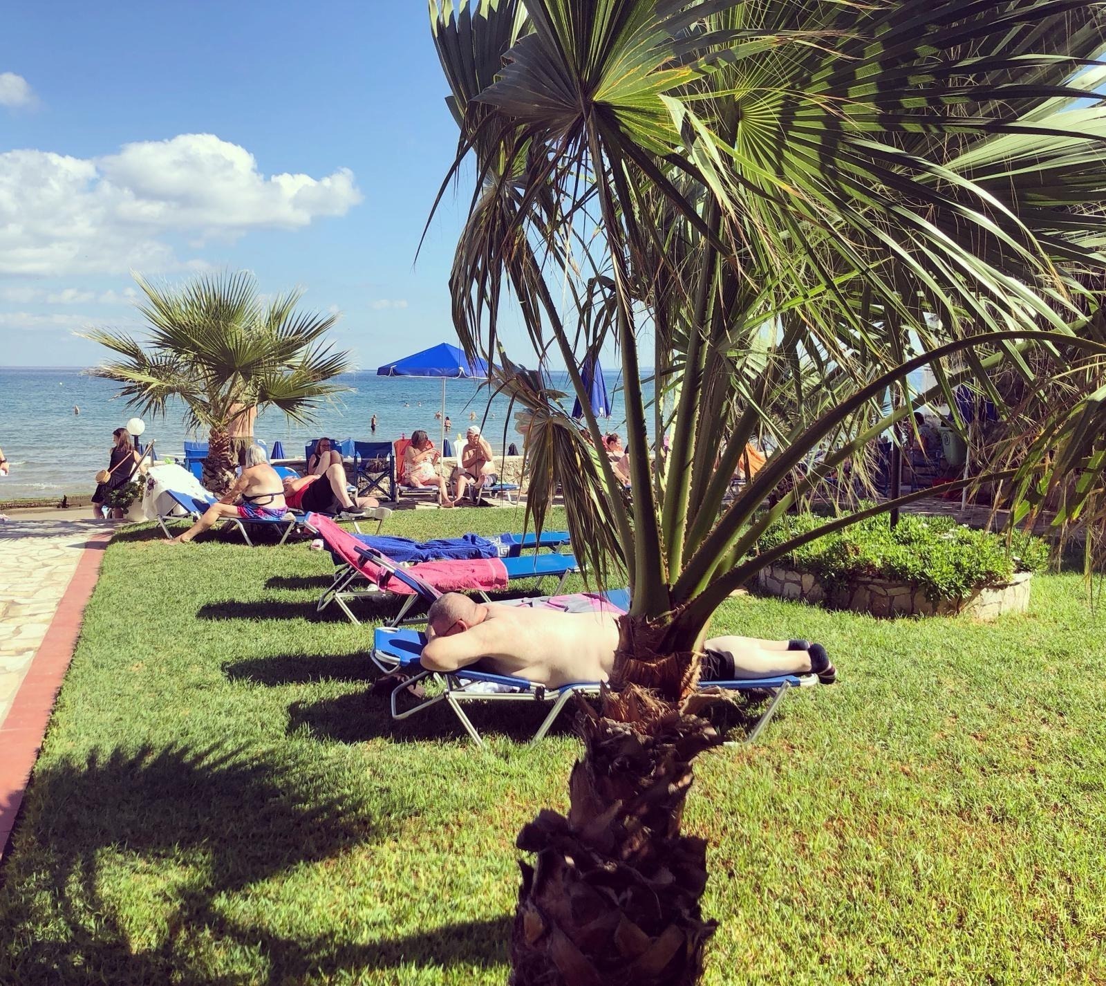 Customer experience (CX)