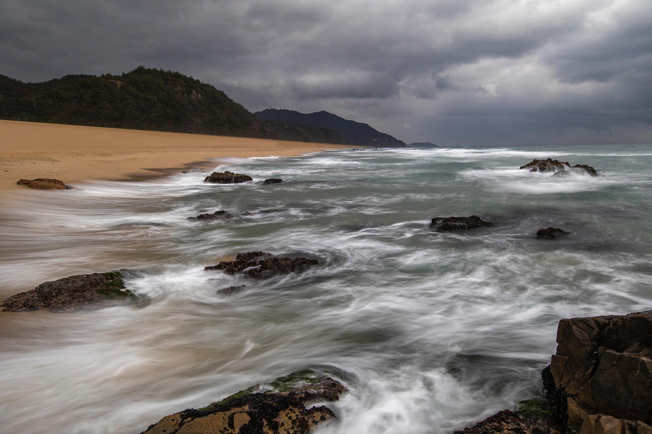 Video predaj (webinár)