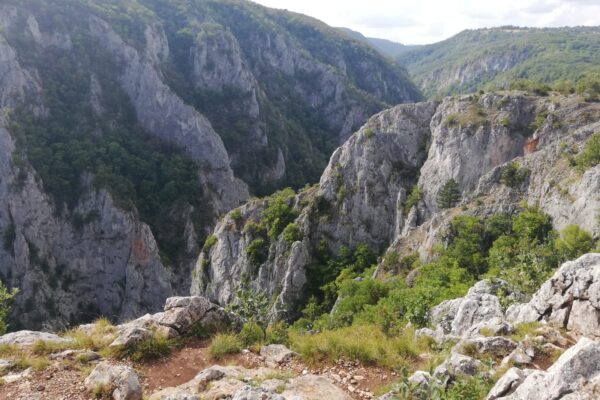 Udržateľnosť značky