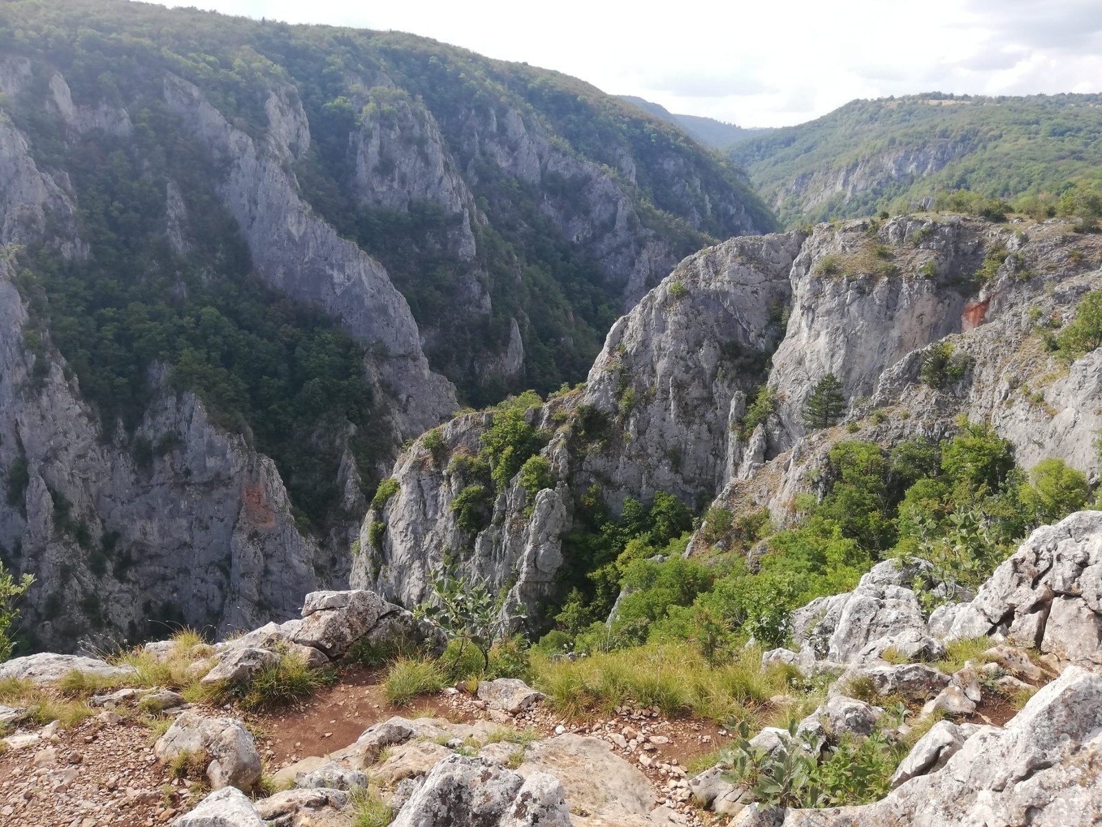 Udržateľnosť značky