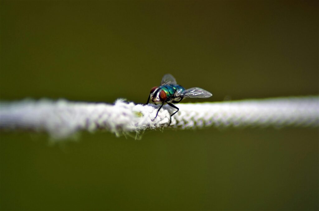 Rodičovstvo a podnikanie