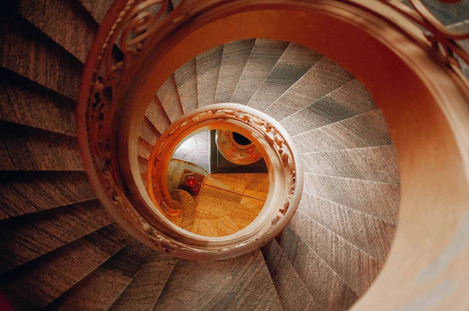 12-mesačný rastový plán