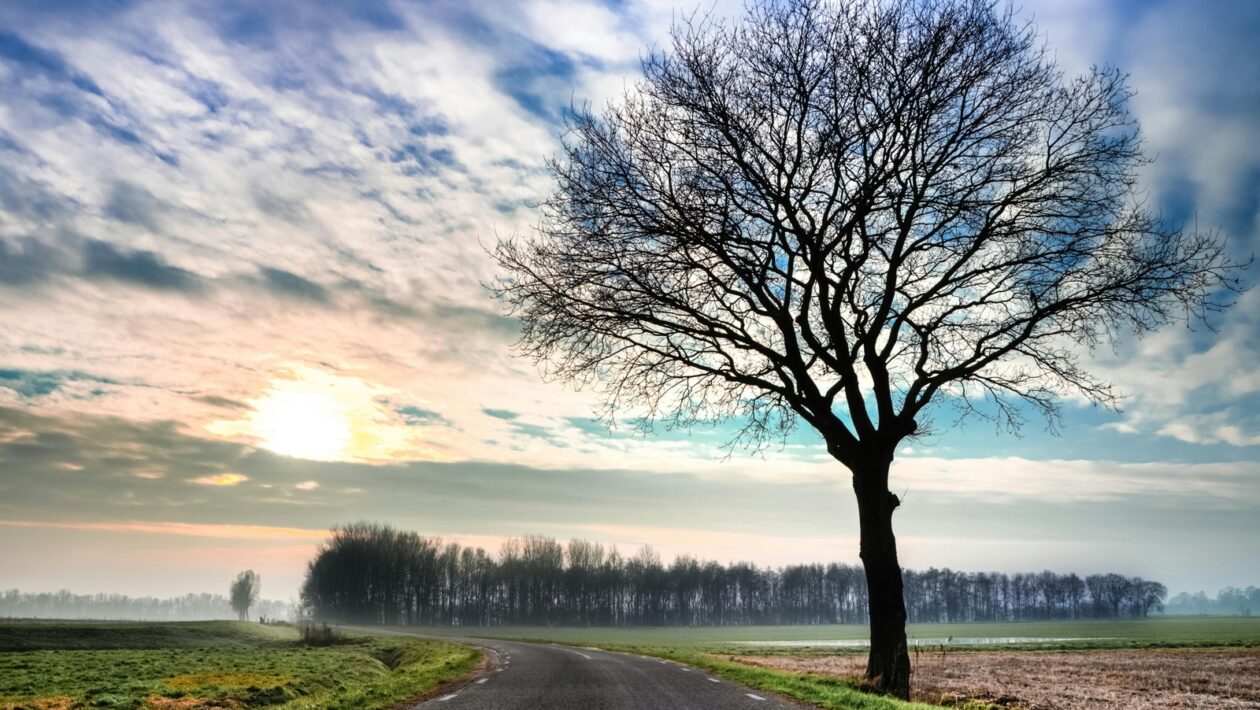 Citovateľné definície