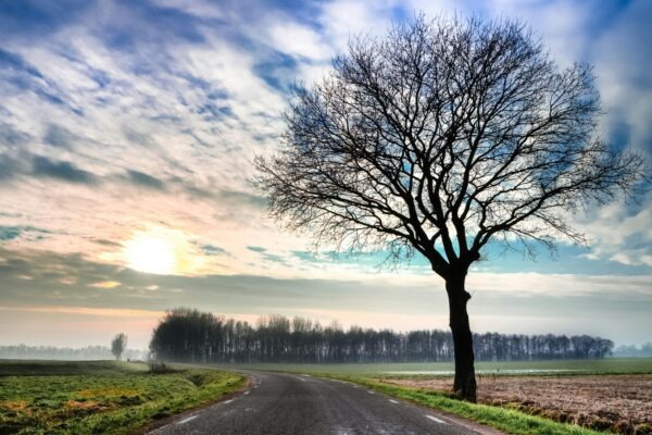 Citovateľné definície