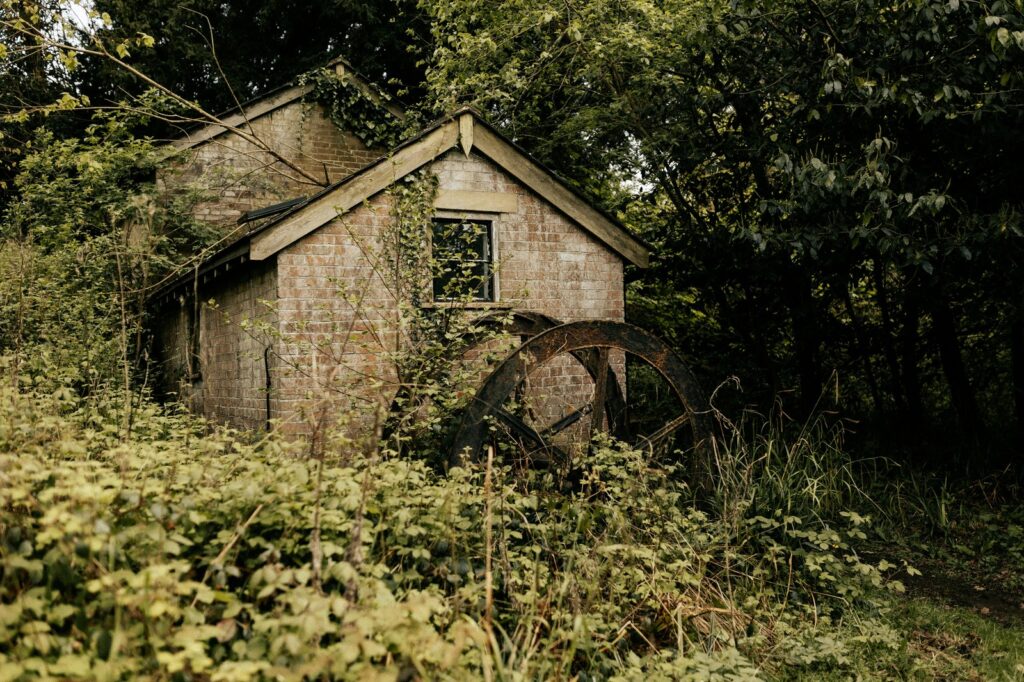 Largest Contentful Paint (LCP)