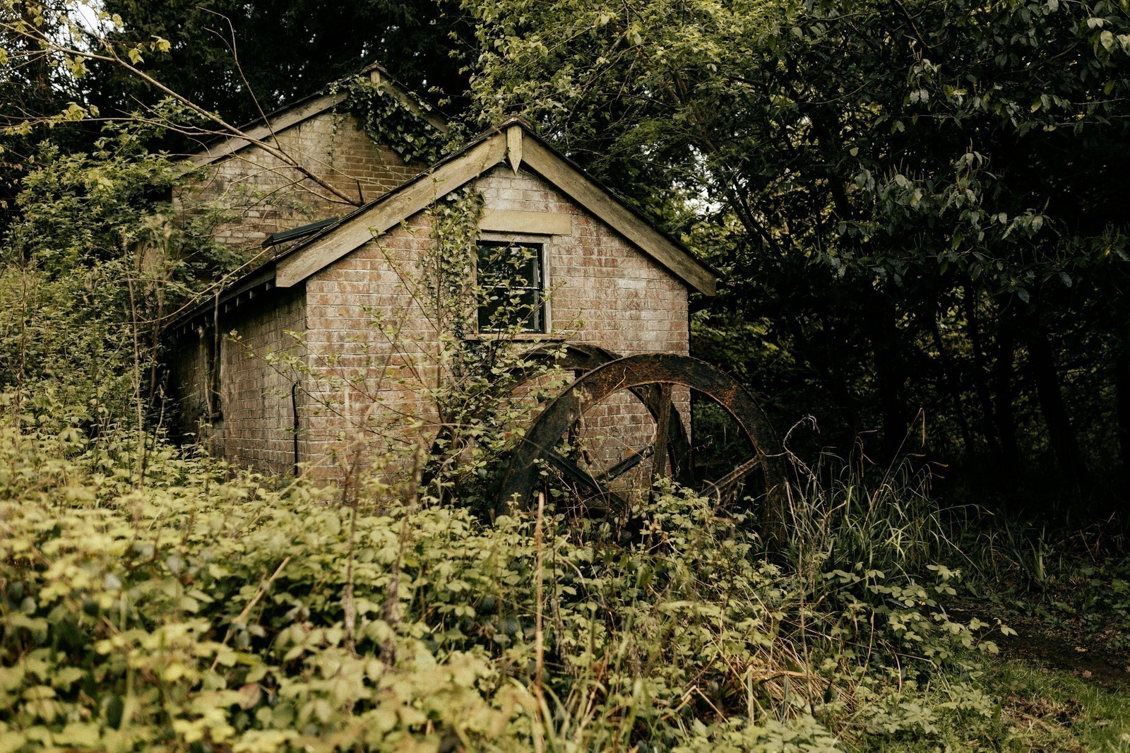 Largest Contentful Paint (LCP)