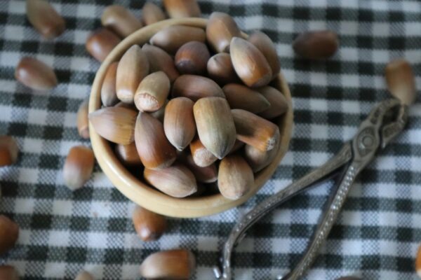 Farebná psychológia v kancelárii