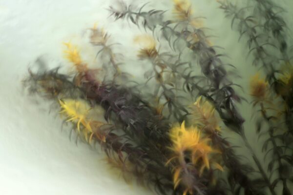 LED osvetlenie a riadenie