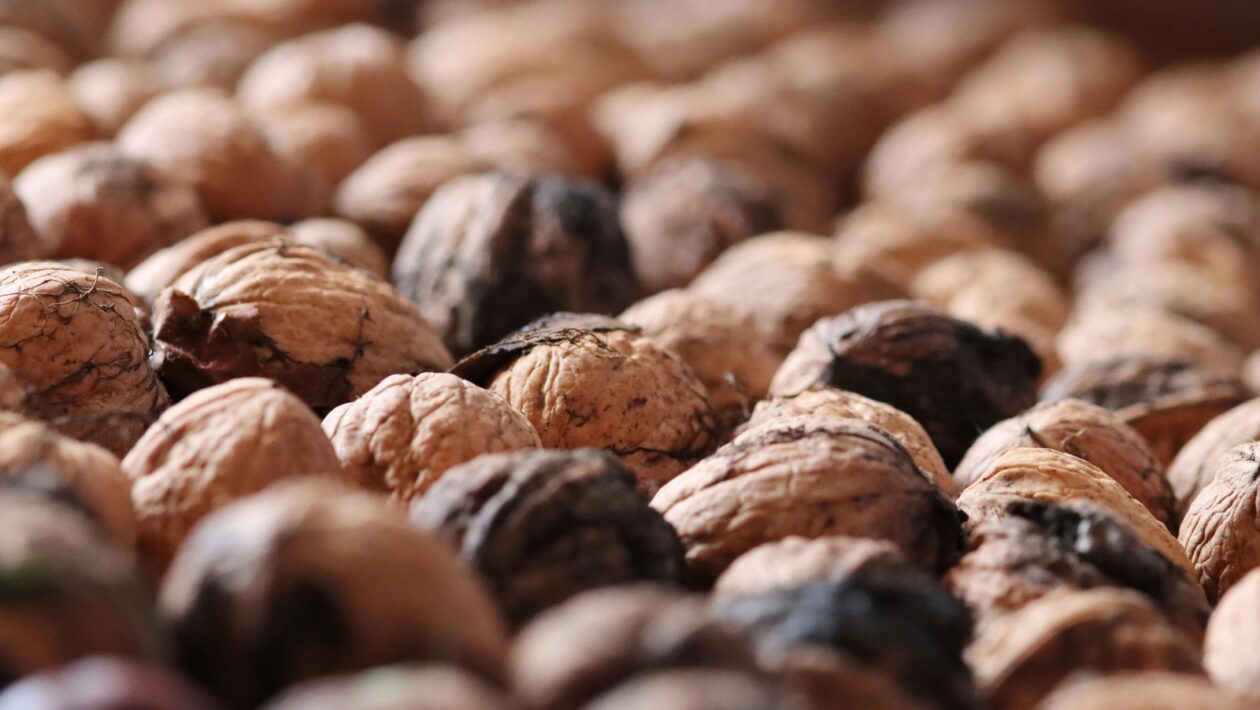 Pripojenie mikrozdroja