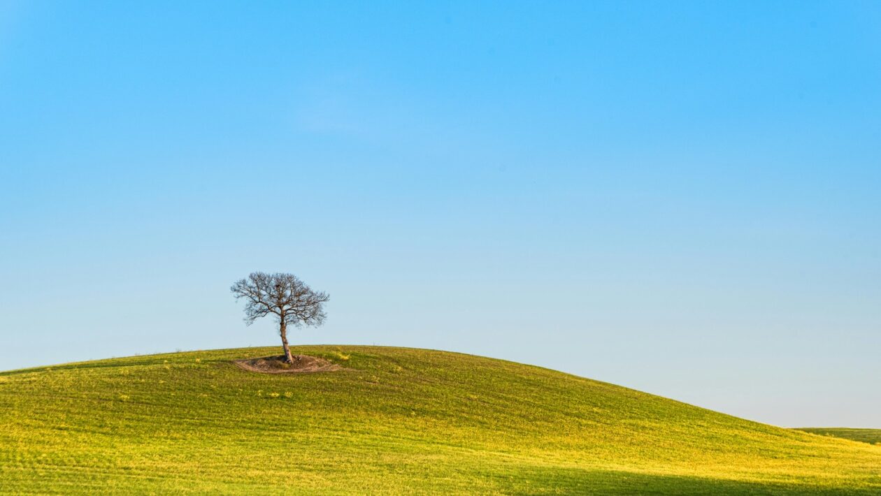 DC spotrebiče v domácnosti