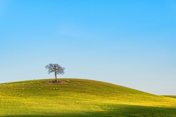 DC spotrebiče v domácnosti