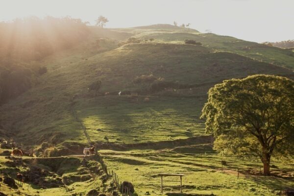 Darčeky pre cestovateľov
