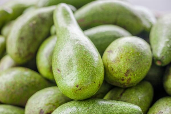 Svody dešťové vody