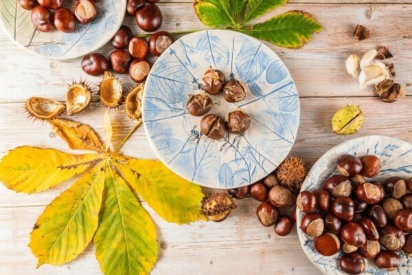 Gramatika slovenského jazyka