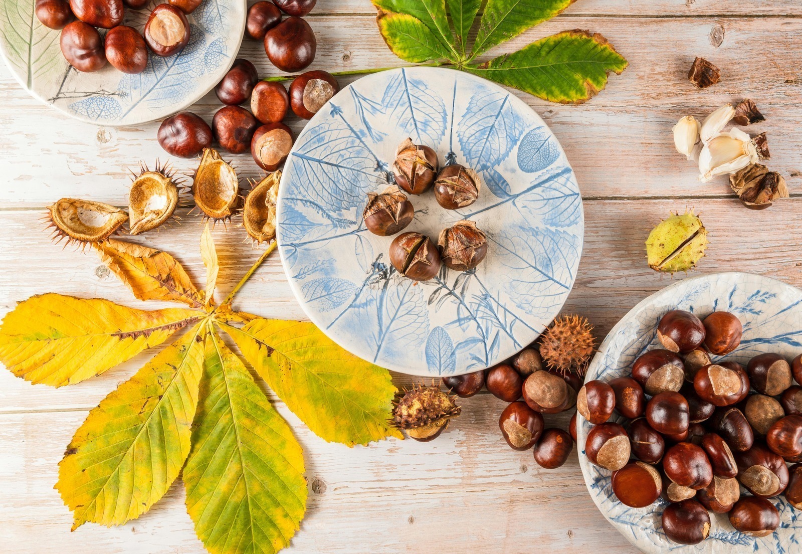 Gramatika slovenského jazyka