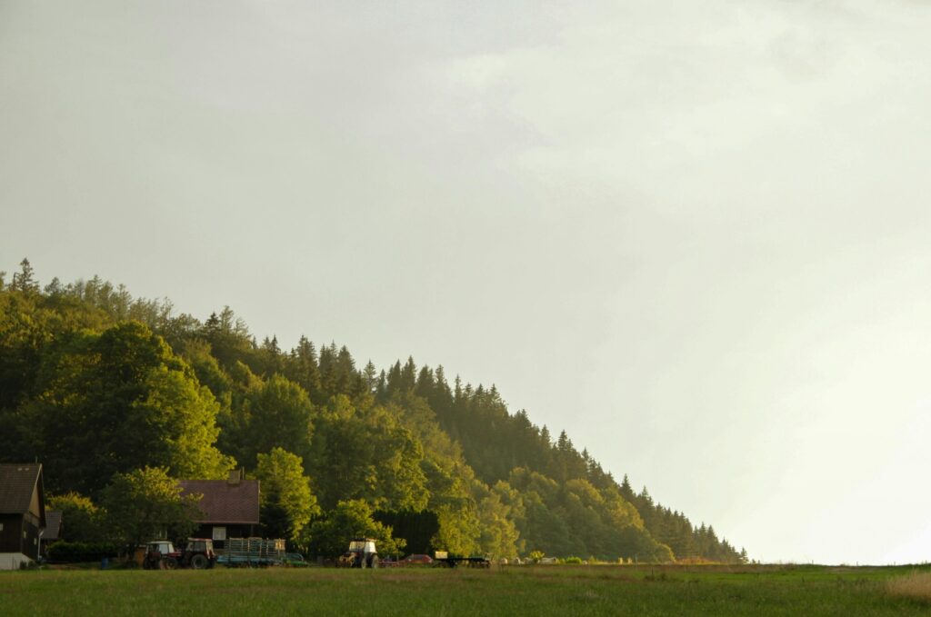 Slovenská avantgarda a experimentálna literatúra