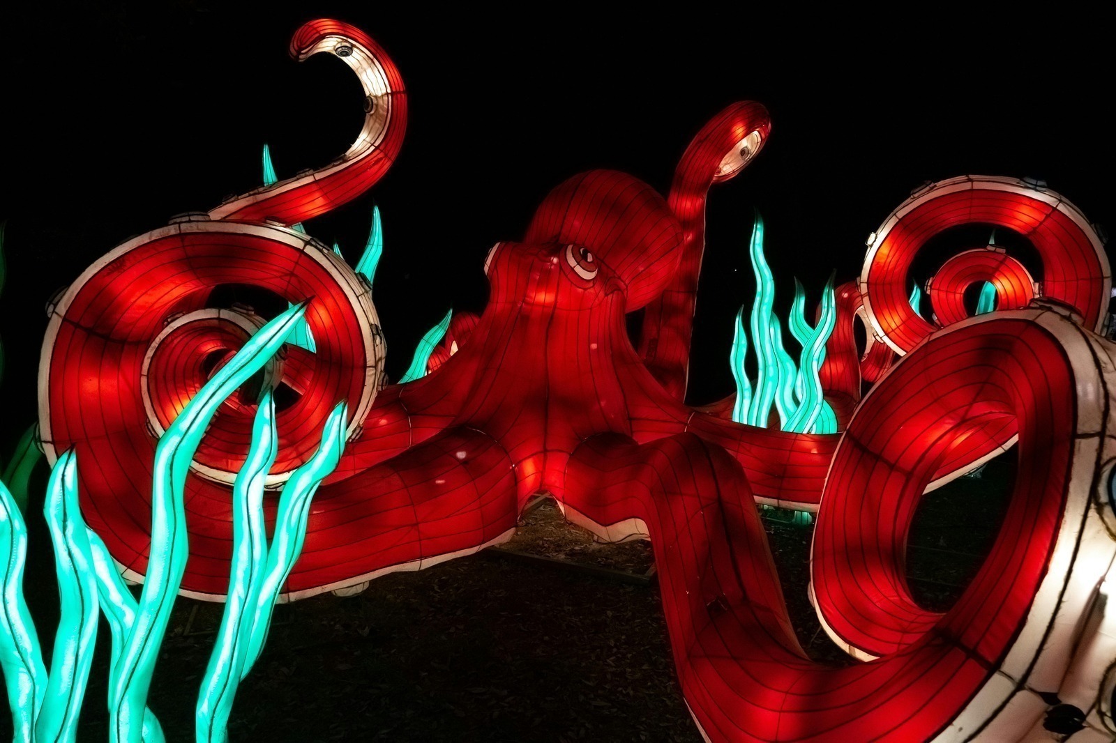 Dopoludňajší pohyb