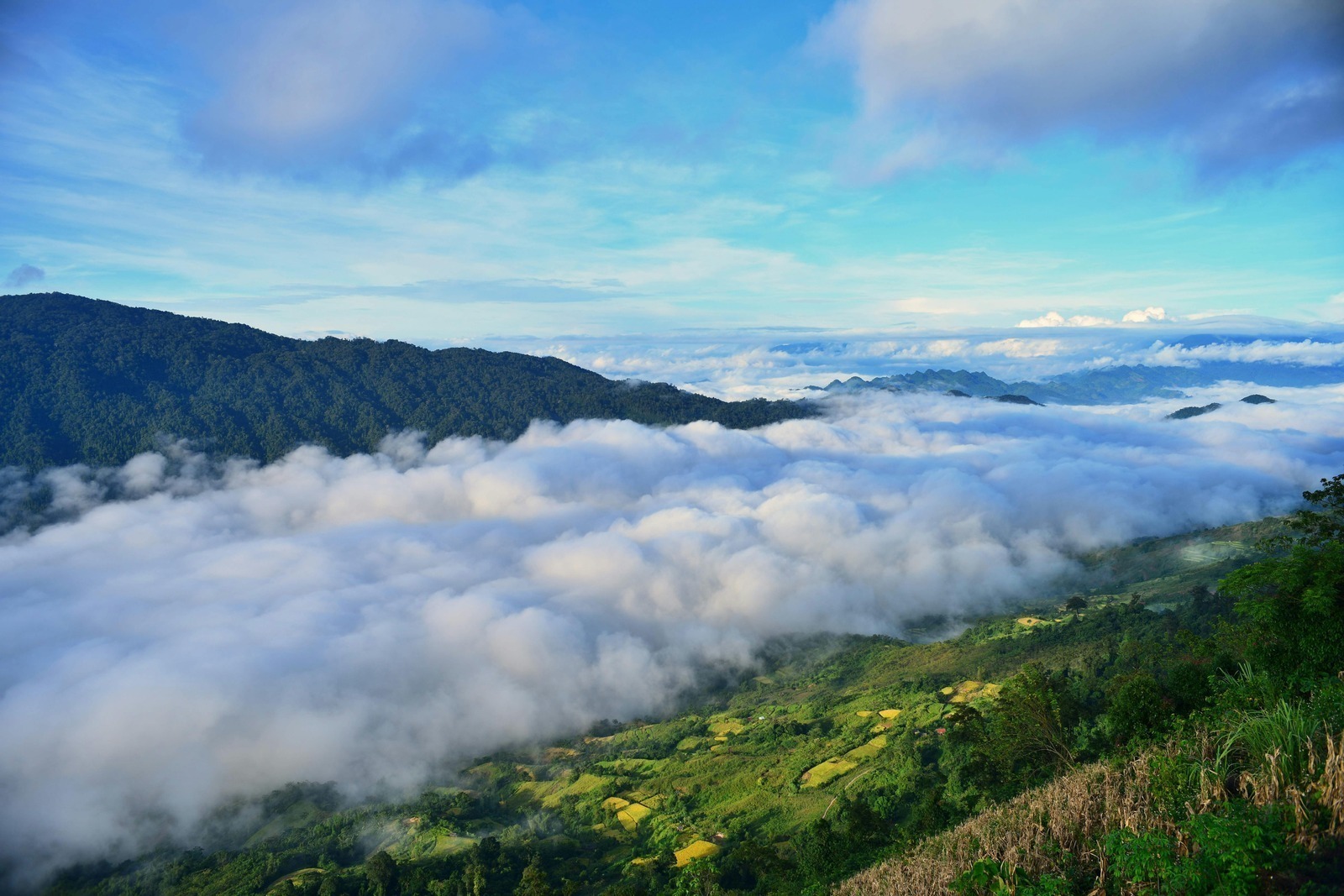 Silový tréning chrbtice